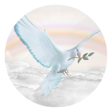 DAROUND 116 D WT Dove Clouds White